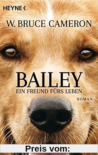 Bailey - Ein Freund fürs Leben: Ich gehöre zu dir - Buch zum Film - Roman